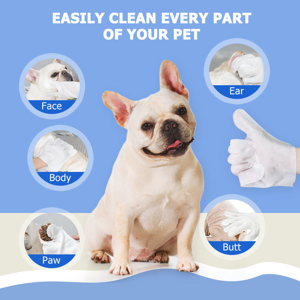 Easy Pet Cleaning Gloves — Wipe, Deodorize & Refresh Instantly 6PCS-1PACK