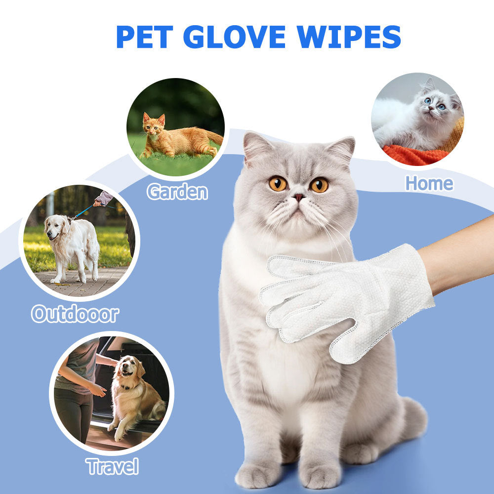 Easy Pet Cleaning Gloves — Wipe, Deodorize & Refresh Instantly 6PCS-1PACK