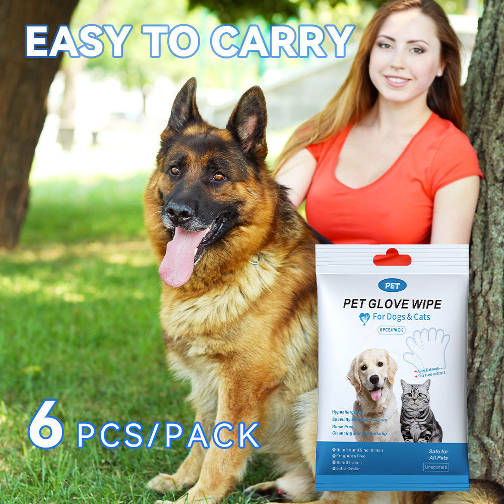 Easy Pet Cleaning Gloves — Wipe, Deodorize & Refresh Instantly 6PCS-1PACK