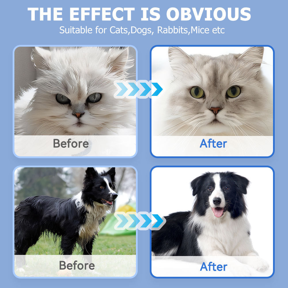 Easy Pet Cleaning Gloves — Wipe, Deodorize & Refresh Instantly 6PCS-1PACK